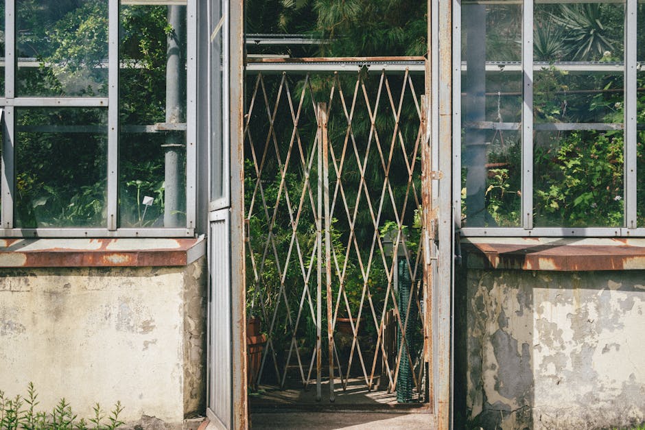 A close-up view of a traditional garden greenhouse with a weathered metal and glass structure, featuring clear glass panels framed by slim metal supports. The greenhouse is set against a garden backgr